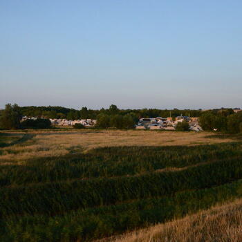 Dsc 2785